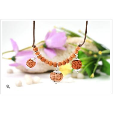 Rudraksha combination - wisdom and communication (Java)